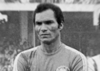 bicho-dobrado-e-cobranca-por-radio:-as-historias-de-manga-no-coritiba