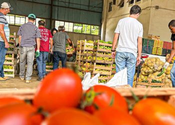 instituicoes-beneficiadas-com-13-mil-quilos-de-alimentos-do-cesta-verde-campista