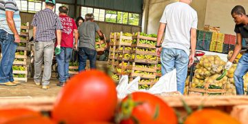 instituicoes-beneficiadas-com-13-mil-quilos-de-alimentos-do-cesta-verde-campista