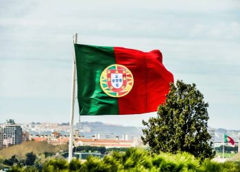 portugal-lanca-via-verde-para-facilitar-contratacao-de-imigrantes-–-jornal-a-voz-de-campos