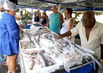 semana-santa:-saude-orienta-quanto-aos-cuidados-na-compra-e-preparo-de-peixes