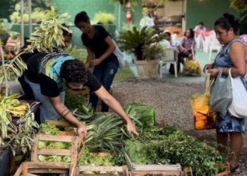 agricultura-se-prepara-para-mais-uma-entrega-das-cestas-verdes