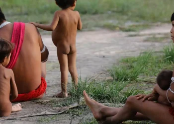 numero-de-obitos-no-territorio-yanomami-teve-reducao-de-21%-em-2024