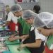 ibge:-taxa-de-desemprego-cresce-em-12-estados-no-primeiro-trimestre