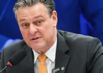 gripe-aviaria-nao-deve-impactar-preco-da-carne-de-frango,-diz-ministro