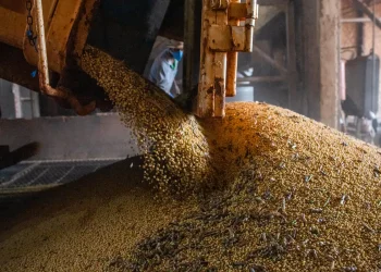 pib-atinge-patamar-recorde-pelo-14o-trimestre-seguido