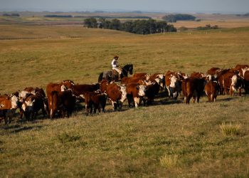 pib-cresce-1,4%-no-primeiro-trimestre-de-2025