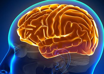 entenda-a-hidrocefalia-normobarica,-causa-da-cirurgia-de-chico-buarque