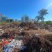 rotina:-prefeitura-realiza-limpeza-de-areas-de-descarte-irregular-de-lixo