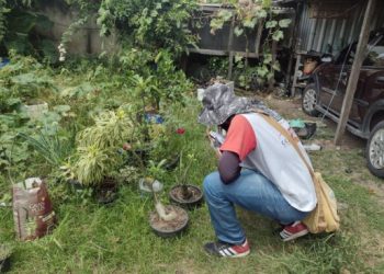 ccz-antecipa-acoes-para-o-prefeitura-em-acao-deste-sabado,-no-parque-guarus