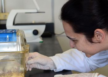 tecidos-feitos-em-laboratorio-podem-aperfeicoar-testes-de-medicamentos