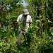 edital-seleciona-36-projetos-para-fortalecer-agricultura-familiar