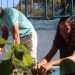 alunos-participam-de-“desafio-verde”-na-escola-municipal-instituto-sao-jose