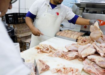 gripe-aviaria:-17-paises-suspendem-restricao-a-carne-brasileira 
