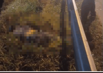 motociclista-morre-em-grave-acidente-com-caminhao-na-br-101,-em-campos-–-jornal-a-voz-de-campos