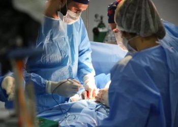 novas-captacoes-de-orgaos-sao-realizadas-no-hospital-ferreira-machado