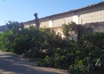 secretaria-de-defesa-civil-realiza-vistorias-tecnicas-no-bairro-da-penha