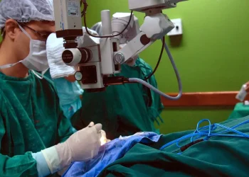 cancer-de-intestino,-que-vitimou-preta-gil,-e-o-3o-mais-comum-no-pais