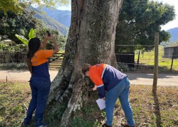 defesa-civil-realiza-vistoria-em-arvores-em-comunidades-quilombolas-do-imbe
