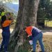 defesa-civil-realiza-vistoria-em-arvores-em-comunidades-quilombolas-do-imbe