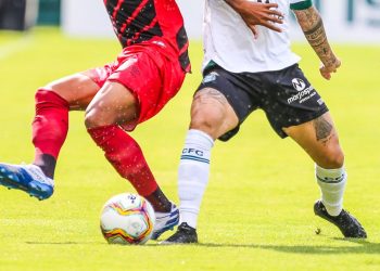 taca-fpf:-conheca-os-clubes-que-participarao-do-torneio