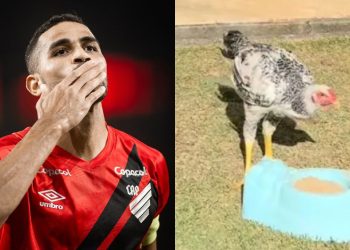 Galinha Alan Kardec: Atacante do Athletico recebe homenagem de ex-companheiro