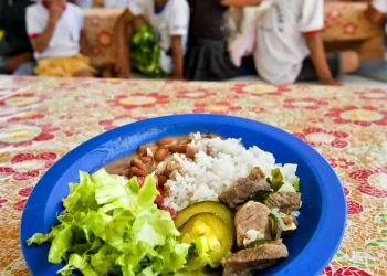 Câmara aprova projeto de compra de alimentos para merenda escolar