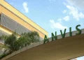 Anvisa restringe venda de azeite, sal do himalaia e chá; confira