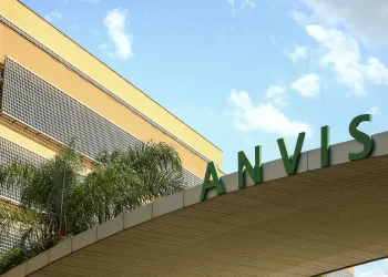 Anvisa restringe venda de azeite, sal do himalaia e chá; confira