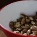 Agricultura familiar do Nordeste vai à maior feira mundial alimentos