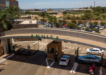 Anvisa proíbe venda de produtos de cannabis e cogumelos