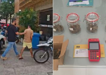 Polícia Civil prende foragido da Justiça em Campos e encontra estufa com cinco pés de maconha na sua casa