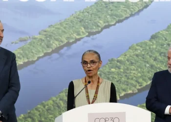 Alemanha dará 1 bilhão de euros para florestas tropicais, diz Marina