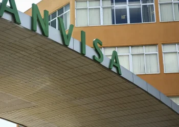 Anvisa manda recolher panetones com fungo