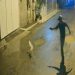 Homem que matou cachorro do vizinho a tiros é preso pela Polícia Civil