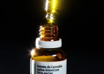 Anvisa aprova cultivo de cannabis por empresas e amplia acesso
