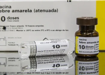 SP: quem tomou vacina fracionada da febre amarela deve completar ciclo