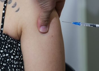 SP começa projeto-piloto de vacinação contra chikungunya em Mirassol