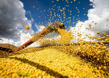 Produção agrícola brasileira superou R$ 927 bilhões em 2025