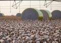 Entenda mudança no mapa que tirou Sorriso do topo da produção agrícola