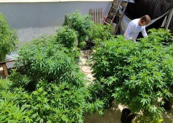 Feira em Fortaleza defende políticas sobre drogas com justiça social