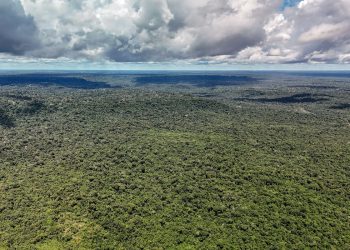 Fazenda autoriza crédito de US$ 1 bilhão do BID para Eco Invest Brasil