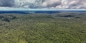 Fazenda autoriza crédito de US$ 1 bilhão do BID para Eco Invest Brasil