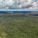 Fazenda autoriza crédito de US$ 1 bilhão do BID para Eco Invest Brasil