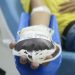 Portaria libera doação de sangue de pessoas com mais de 70 anos