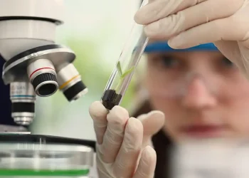 Prêmio para mulheres e meninas cientistas abre inscrições até outubro