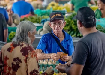 Brasil chega ao recorde de 35% dos empreendedores com registro no CNPJ