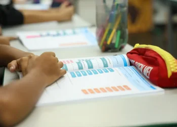 Censo Escolar 2026: dados da 1ª etapa podem ser conferidos até dia 11