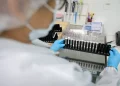 Malária: Anvisa autoriza teste em humanos de vacina 100% brasileira