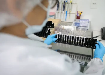 Malária: Anvisa autoriza teste em humanos de vacina 100% brasileira